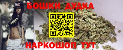 амф Новокубанск