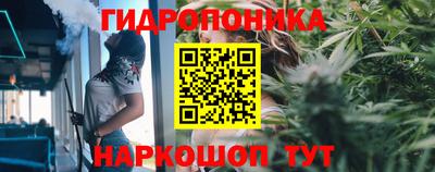 PSILOCYBIN Новодвинск