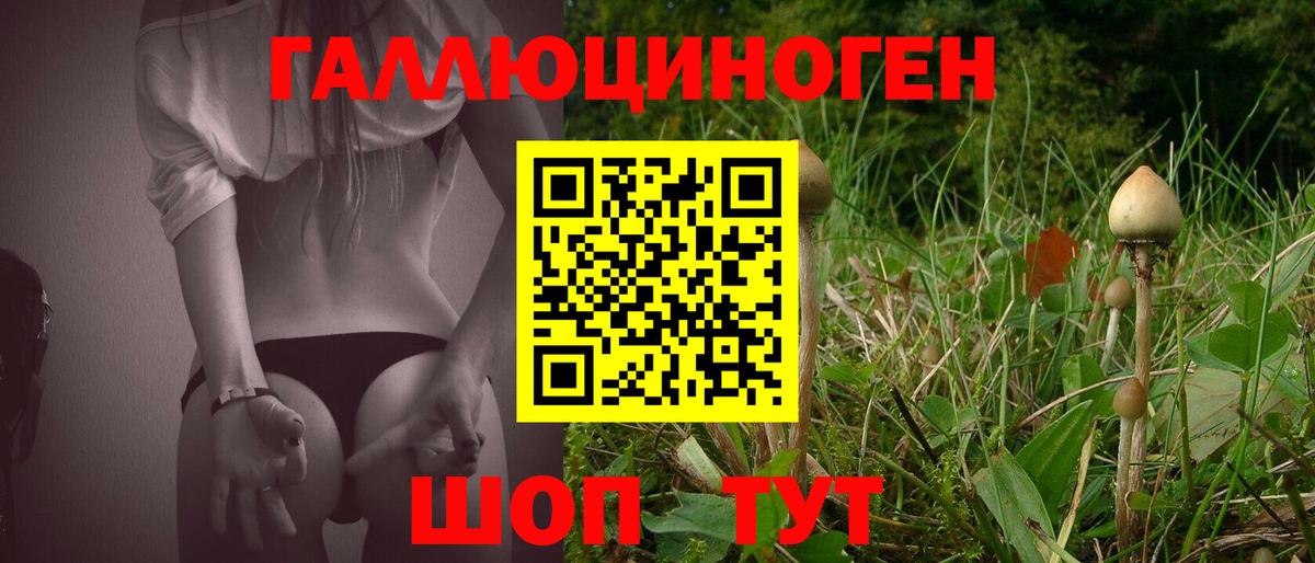 Псилоцибиновые грибы прущие грибы  Галлюциногенные грибы мицелий  Омск  Вход с VPN 